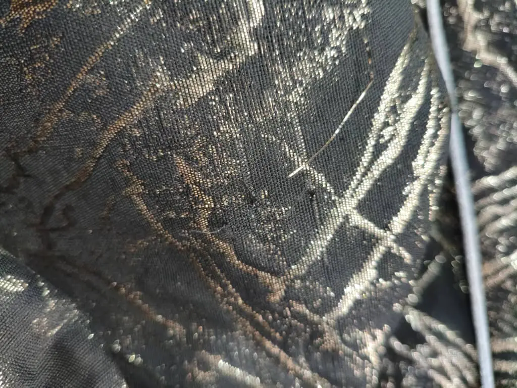 1241- کت مزونی کیانا (ایراد دار)